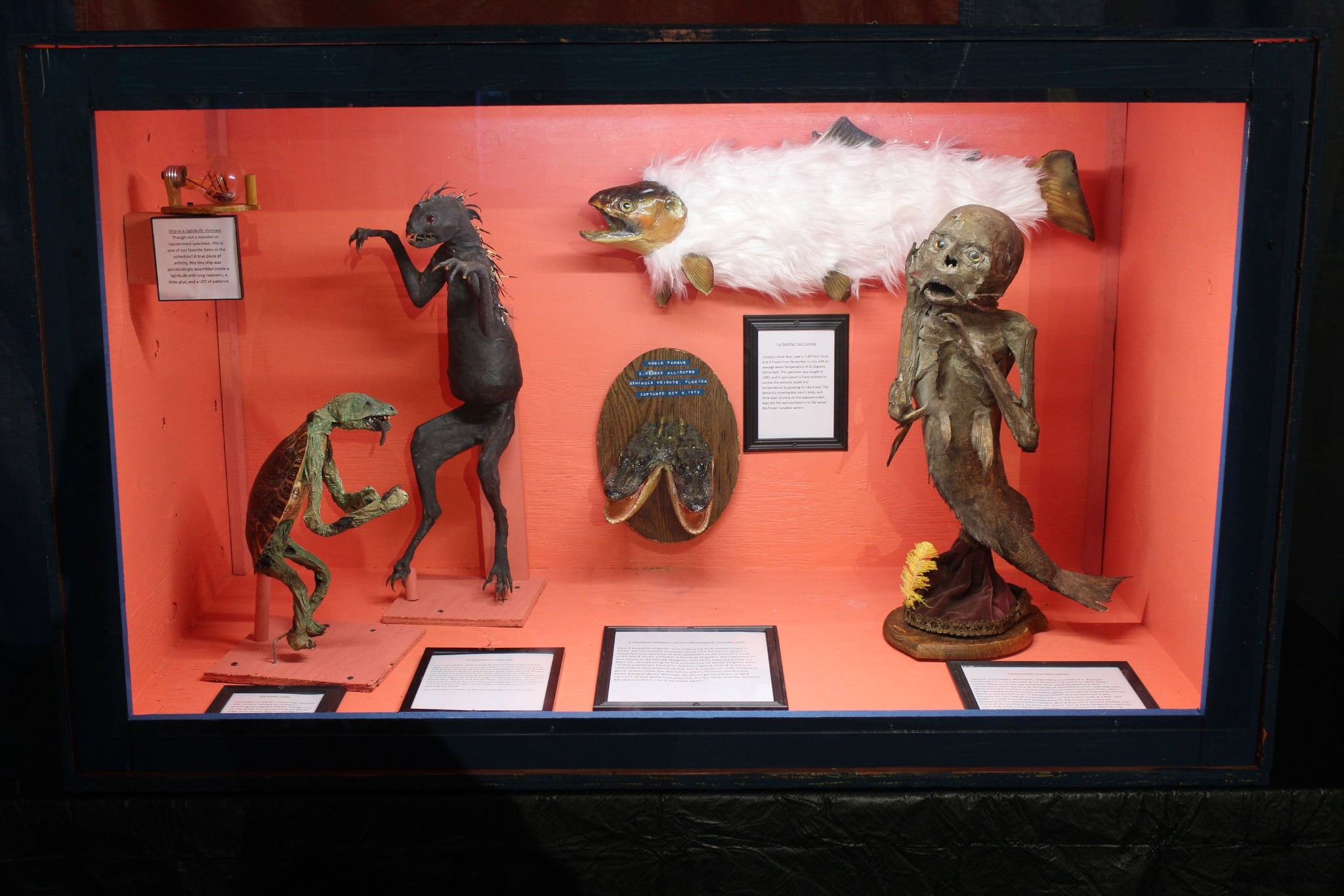 Museum Exhibit 5